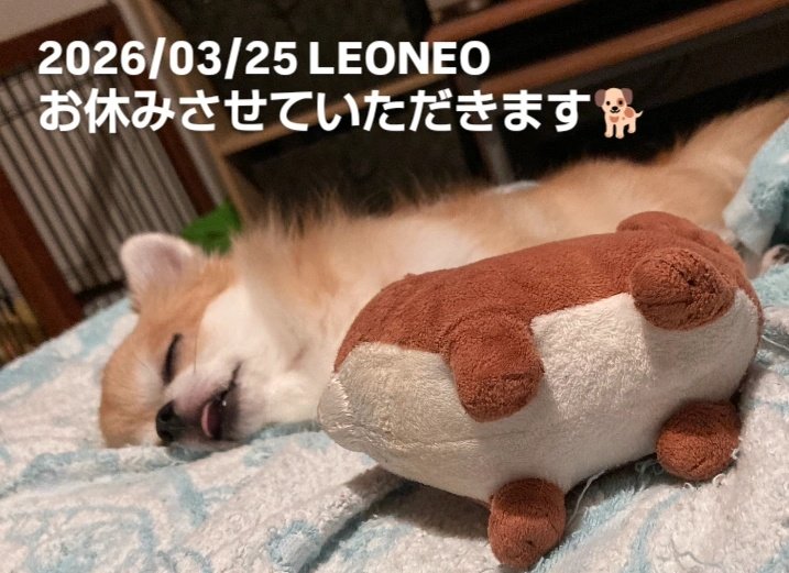 Bar LEONEO⚡SHOCK tweet media