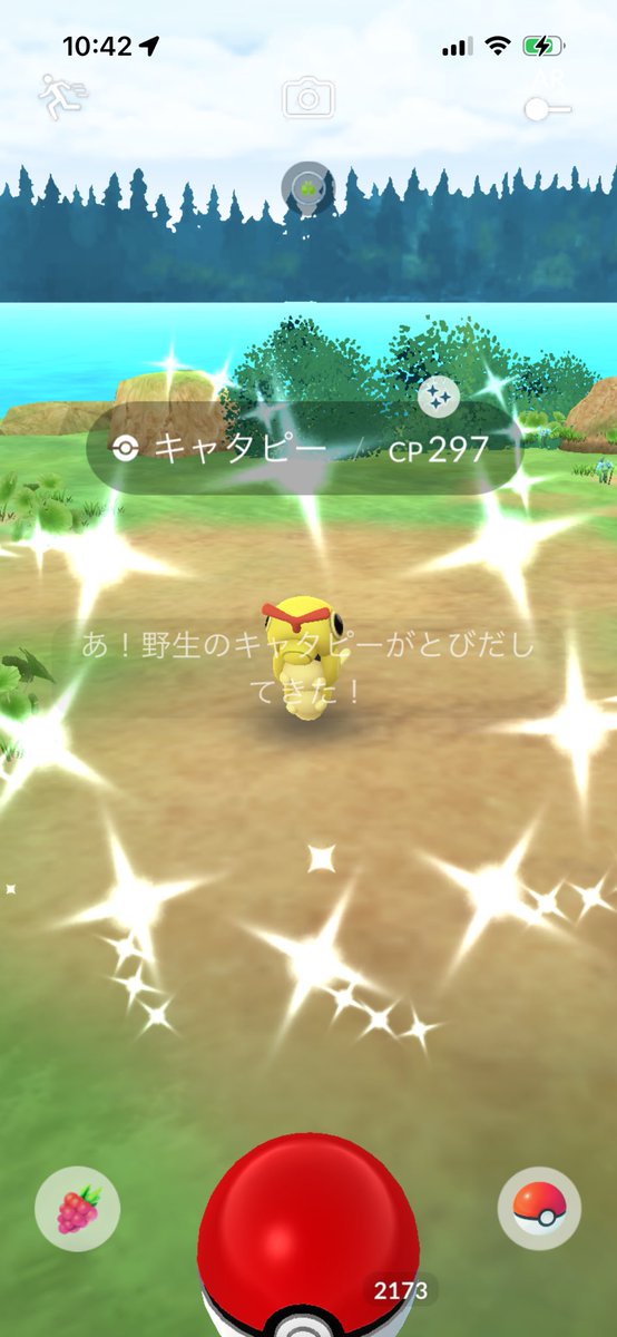 ysたつみ🗑🏀🐈🐈‍⬛ tweet media