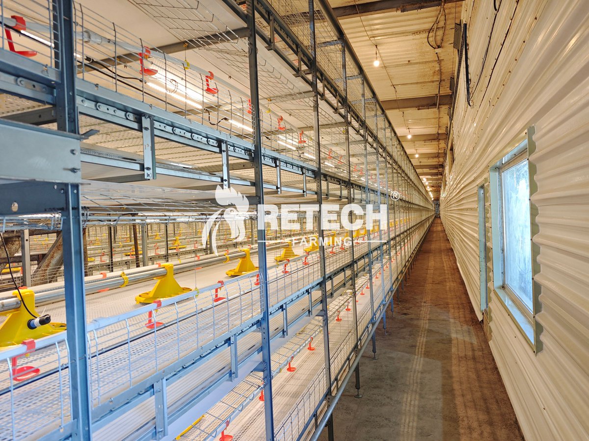 retechfarming's tweet image. 🚀 𝟏𝟏𝟎,𝟎𝟎𝟎 𝐁𝐫𝐨𝐢𝐥𝐞𝐫𝐬 𝐩𝐞𝐫 𝐇𝐨𝐮𝐬𝐞 — 𝐒𝐜𝐚𝐥𝐢𝐧𝐠 𝐔𝐩 𝐢𝐧 𝐭𝐡𝐞 𝐏𝐡𝐢𝐥𝐢𝐩𝐩𝐢𝐧𝐞𝐬

As a leading agri-processing company and a top San Miguel Corporation contract grower, the farm continues to push for higher efficiency and performance.

#RetechFarming