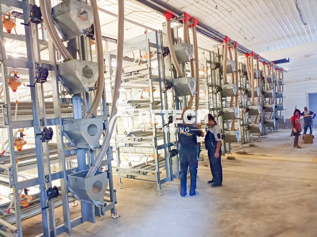 retechfarming's tweet image. 🚀 𝟏𝟏𝟎,𝟎𝟎𝟎 𝐁𝐫𝐨𝐢𝐥𝐞𝐫𝐬 𝐩𝐞𝐫 𝐇𝐨𝐮𝐬𝐞 — 𝐒𝐜𝐚𝐥𝐢𝐧𝐠 𝐔𝐩 𝐢𝐧 𝐭𝐡𝐞 𝐏𝐡𝐢𝐥𝐢𝐩𝐩𝐢𝐧𝐞𝐬

As a leading agri-processing company and a top San Miguel Corporation contract grower, the farm continues to push for higher efficiency and performance.

#RetechFarming