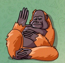 Sul Finance tweet media