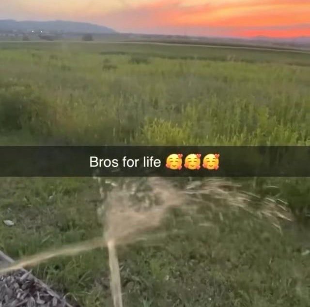 averie𓆝𓆟 tweet media