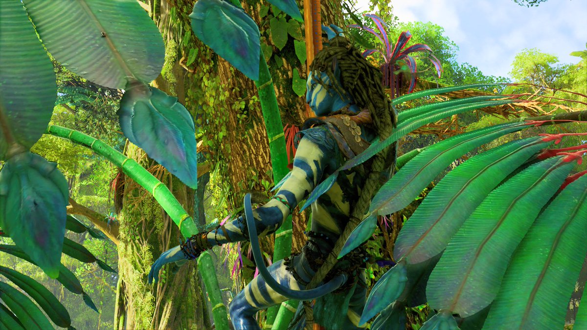 ˖ ֹ੭୧ mico ⊹ ࣪ tsu’tey pr manager tweet media