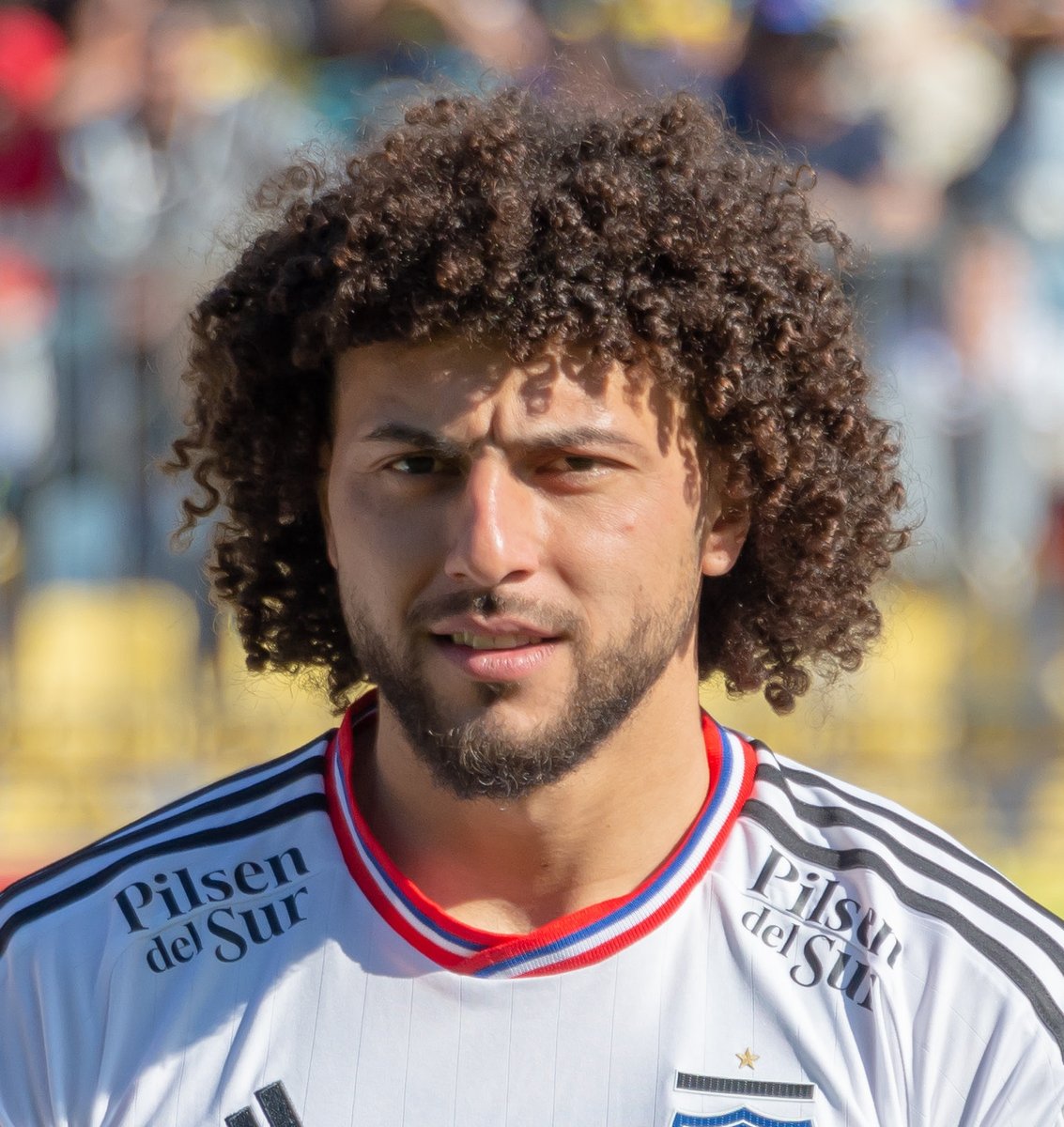 FenomenoDelColo 34⭐️🏁 tweet media