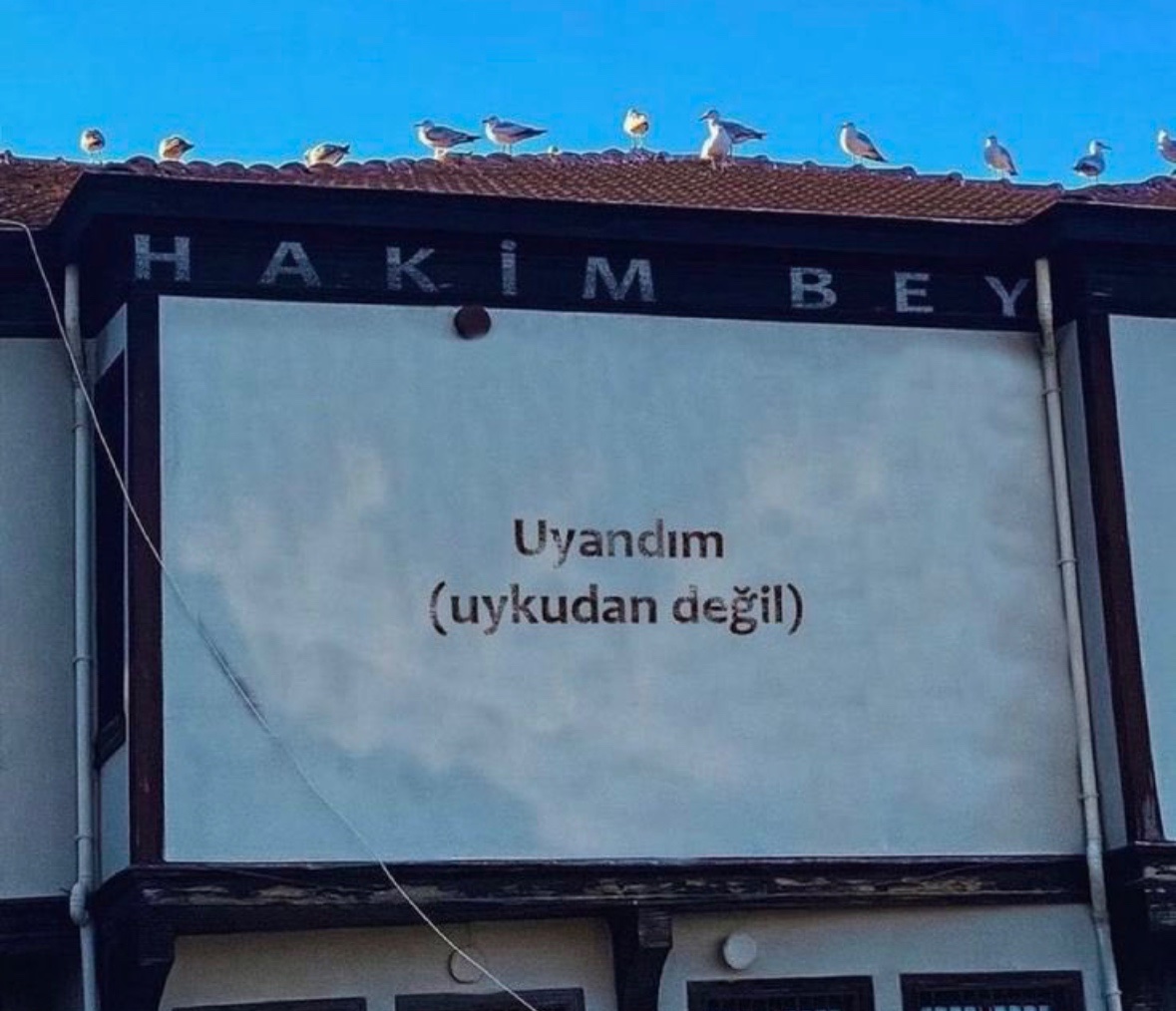 Hayri (@hayrixxx) on Twitter photo 