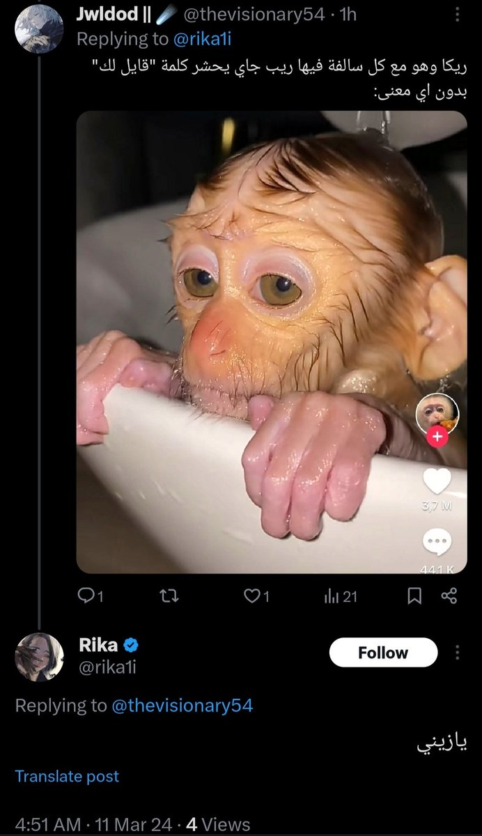 هل حذف مصطفى زايد حسابه اليوم؟ tweet media