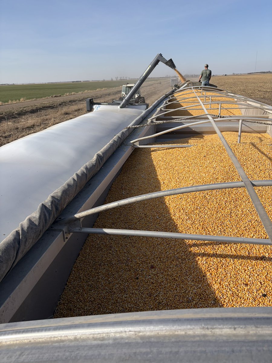 Chet Edinger tweet media