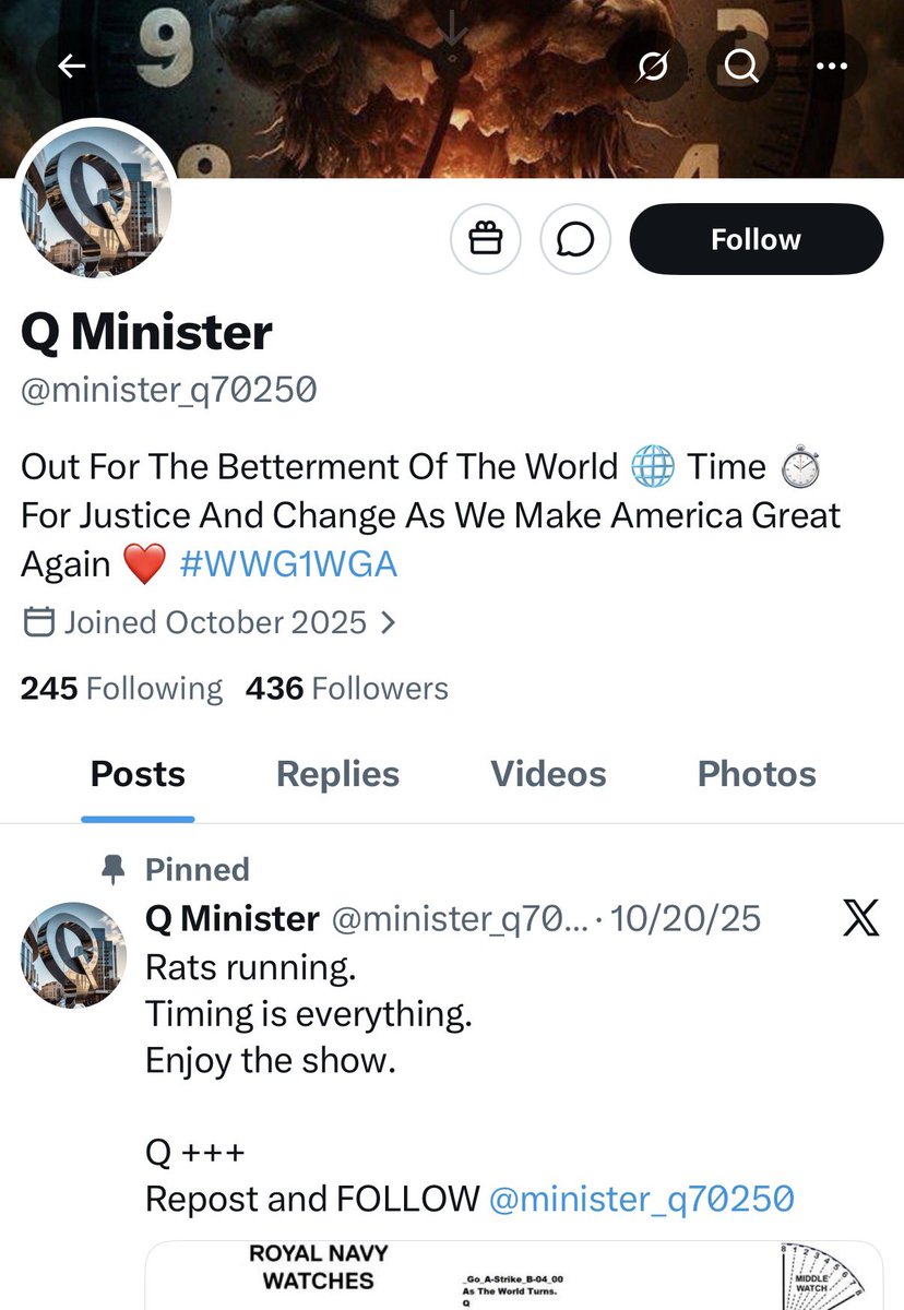 Marina Medvin 🇺🇸 tweet media