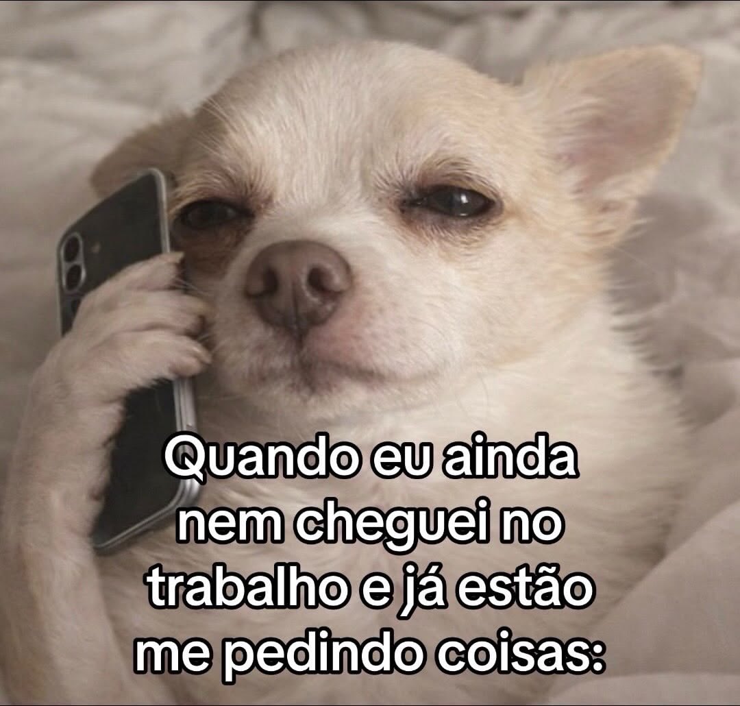 paginalixo1's tweet photo. https://t.co/3zcNh3YJ9z