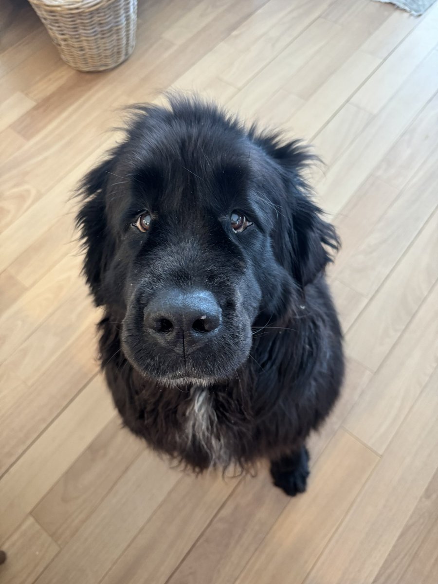 La Jefita tweet media