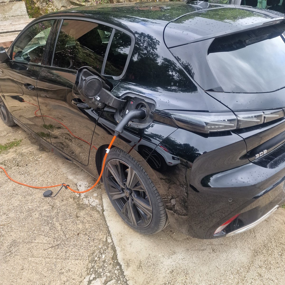 sebanissa tweet media