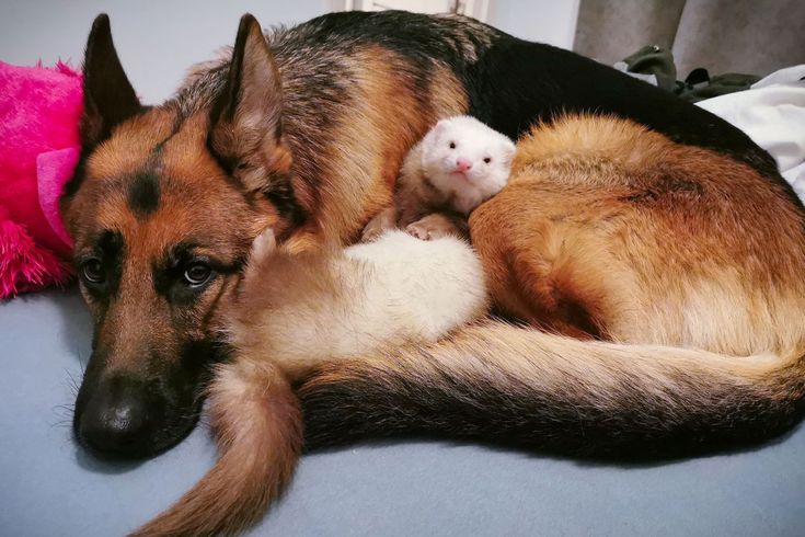 ୭ ݁ 𓈒 ꒰ Ellie ❤︎ Lιɳ Lie ꒱ ݁ ~ tweet media