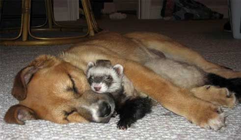 ୭ ݁ 𓈒 ꒰ Ellie ❤︎ Lιɳ Lie ꒱ ݁ ~ tweet media