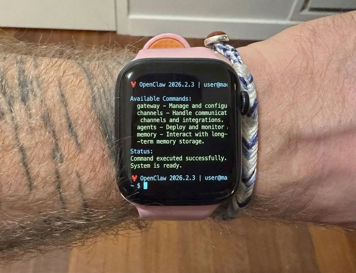 rate my OpenClaw setup guys