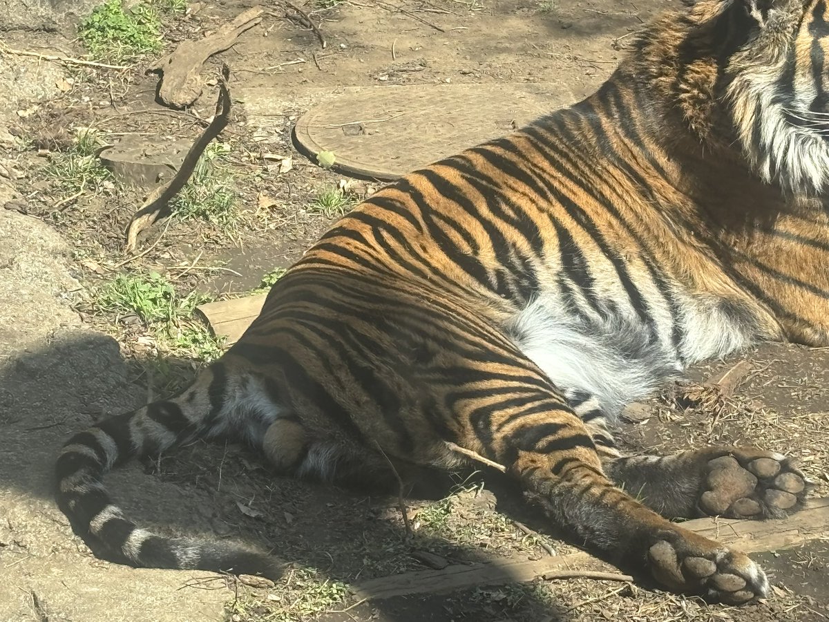 轟ゆな🔩ギルド秋葉原 コンカフェ tweet media