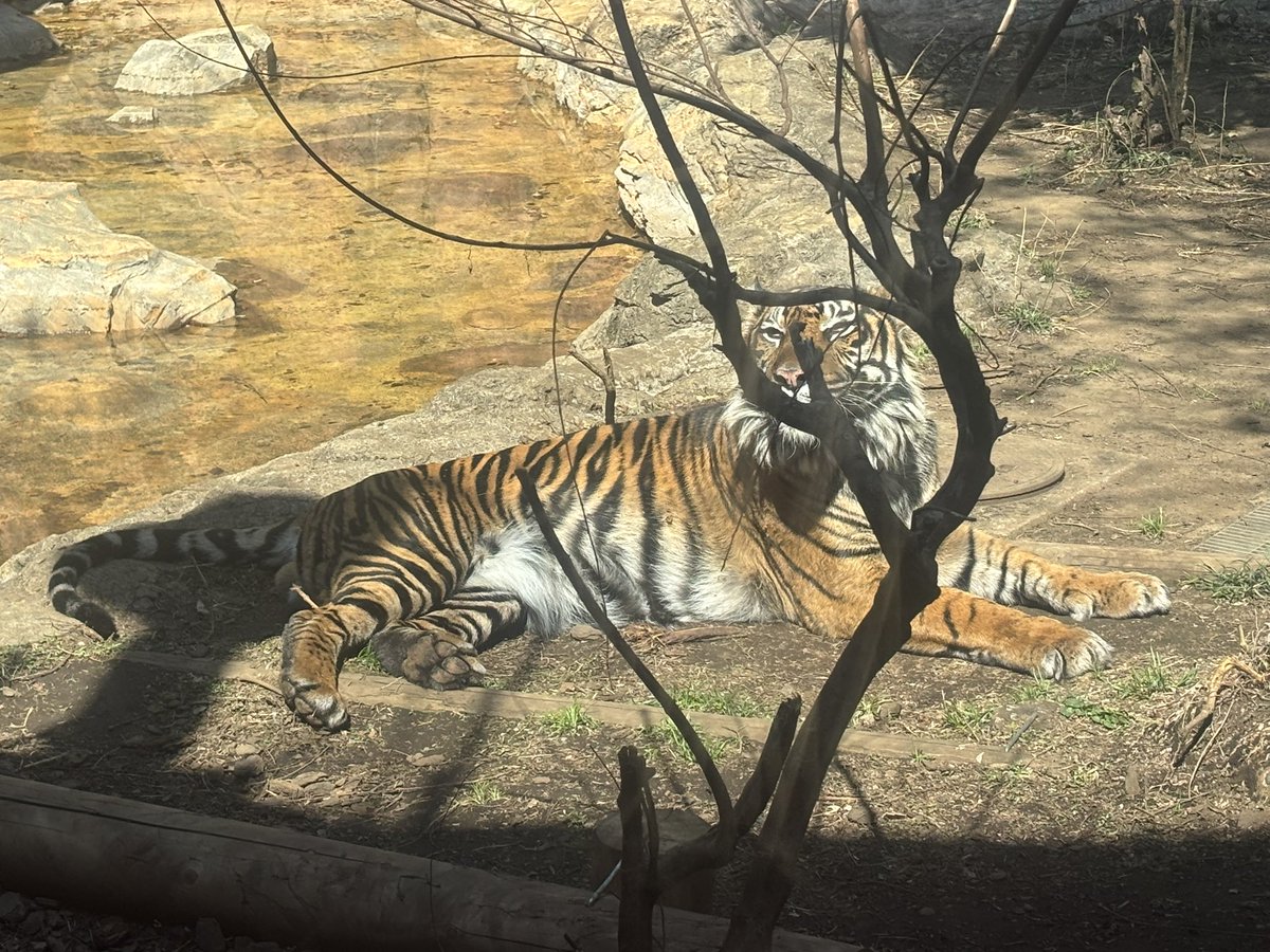 轟ゆな🔩ギルド秋葉原 コンカフェ tweet media