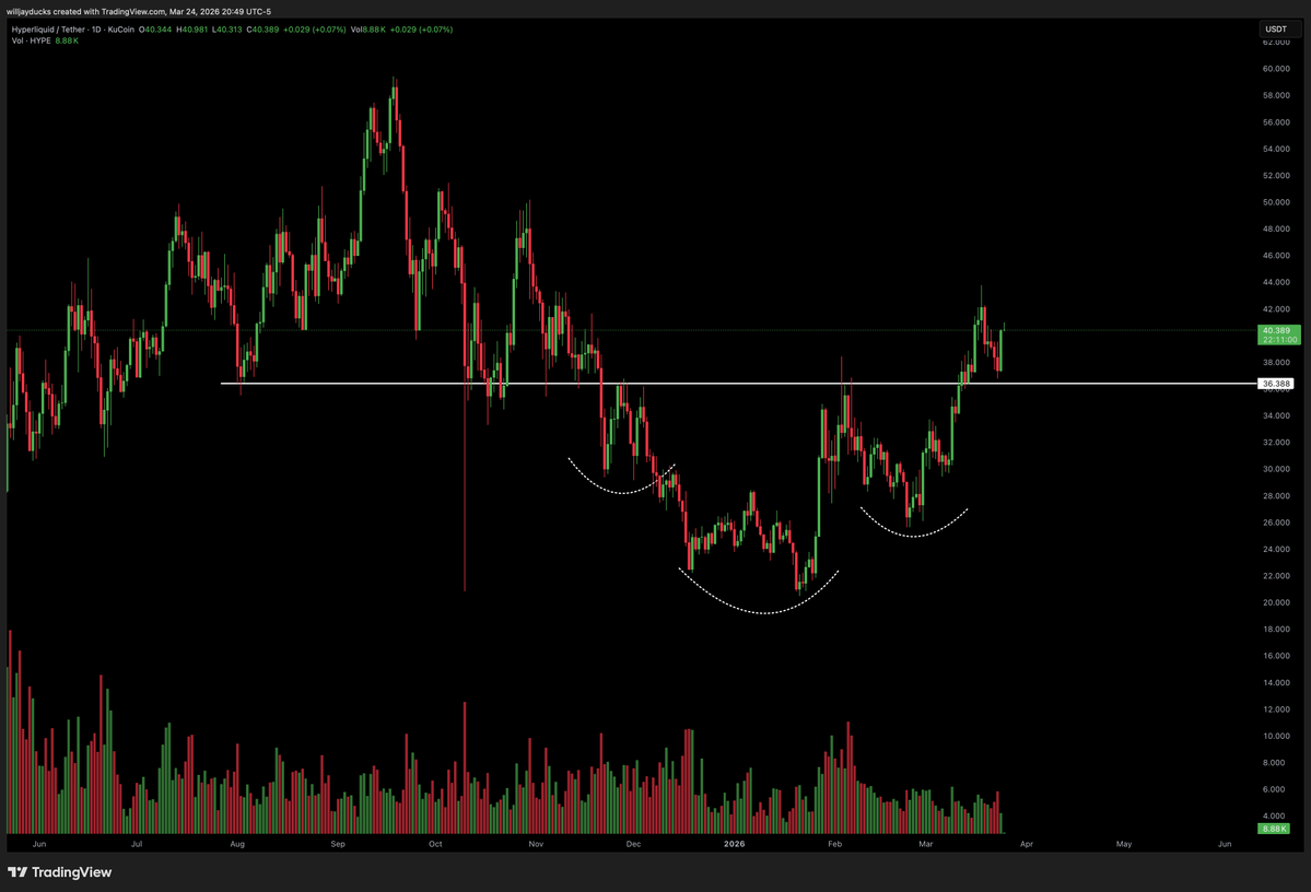 Willjayducks tweet media