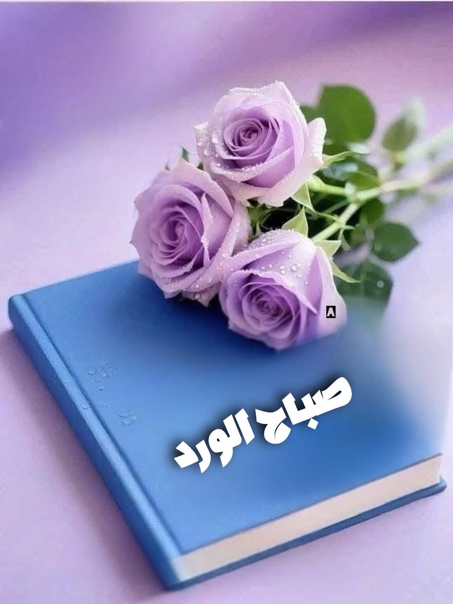 مُـــنى 💎 tweet media