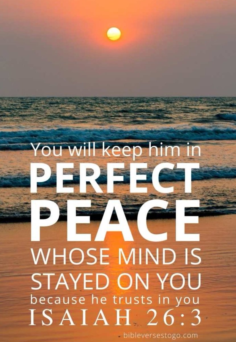 Melissa A. McLaughlin tweet media