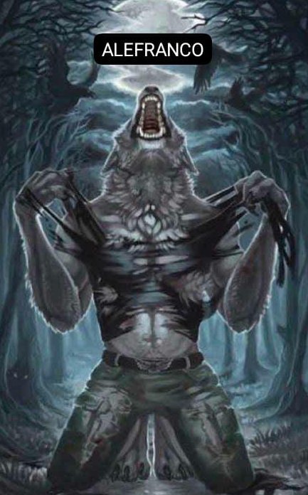 Acervo Alefranco tweet media