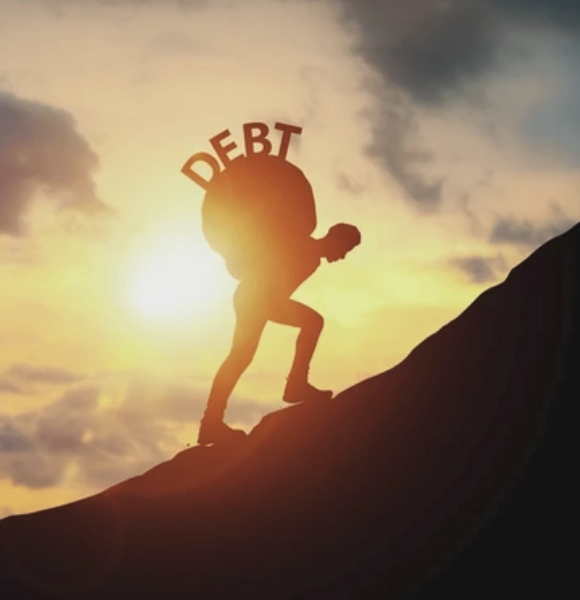 The Great Martis tweet media