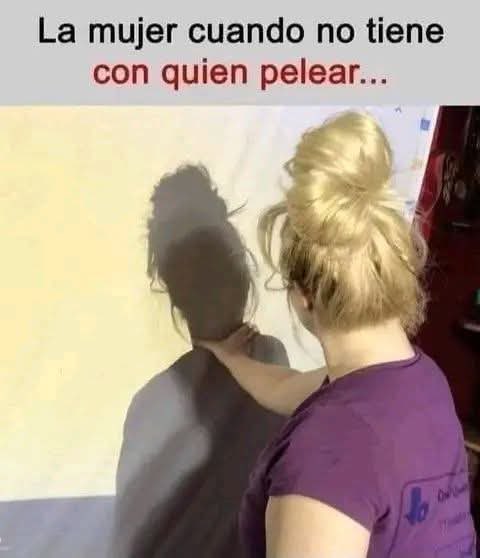 ViborillaShir🐍 tweet media