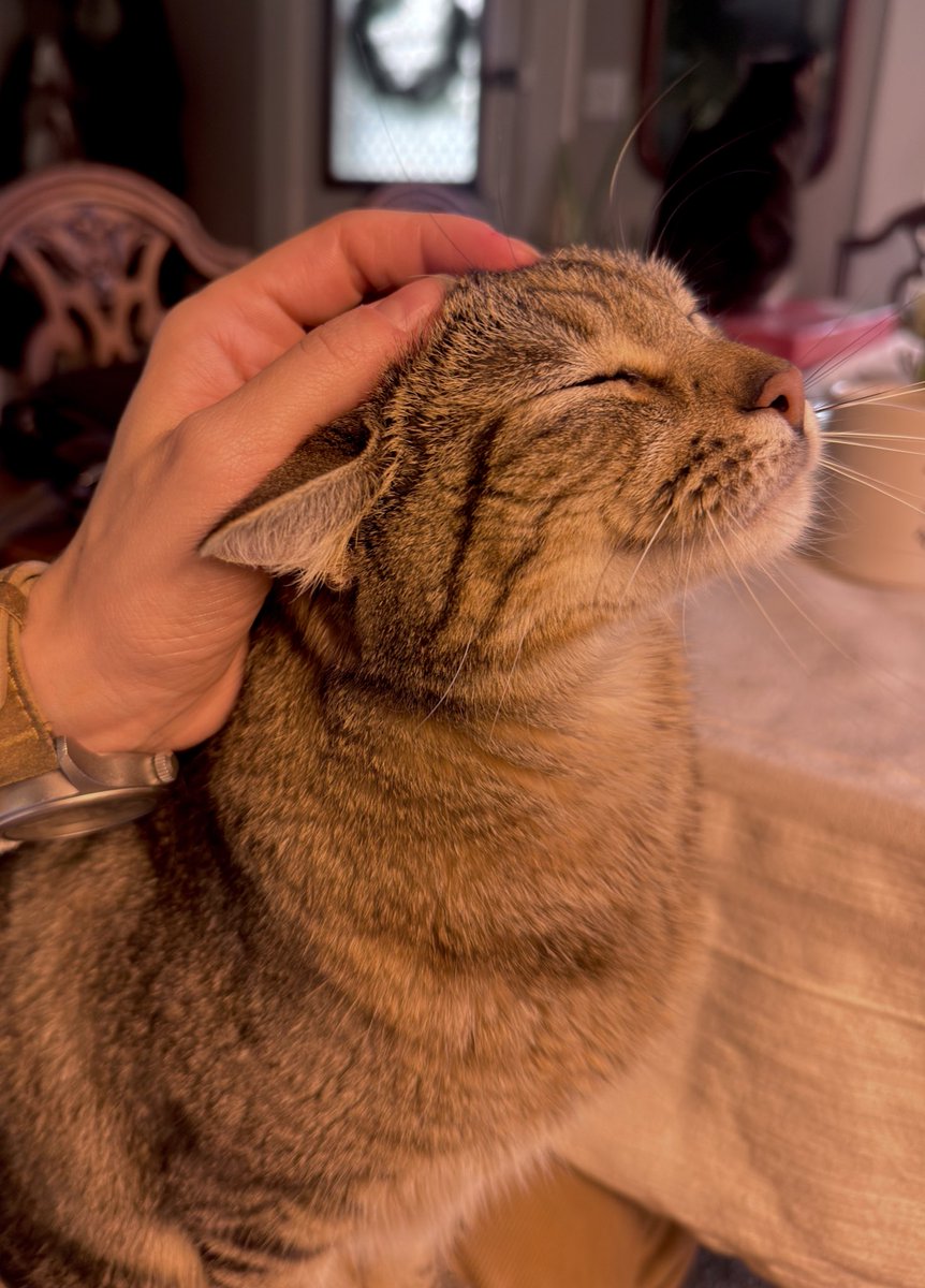 mara |-/ TRAINING FØR APE tweet media