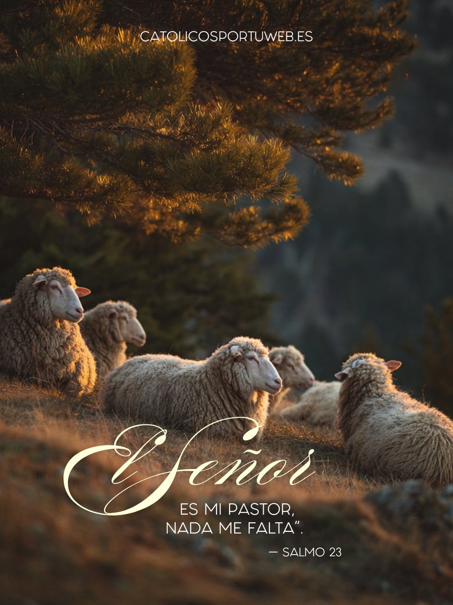 CATÓLICOS POR TU WEB tweet media