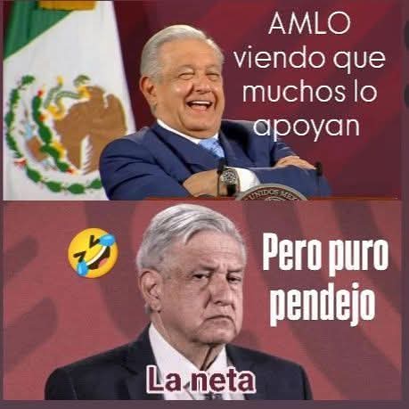 PHIL Trafa tweet media