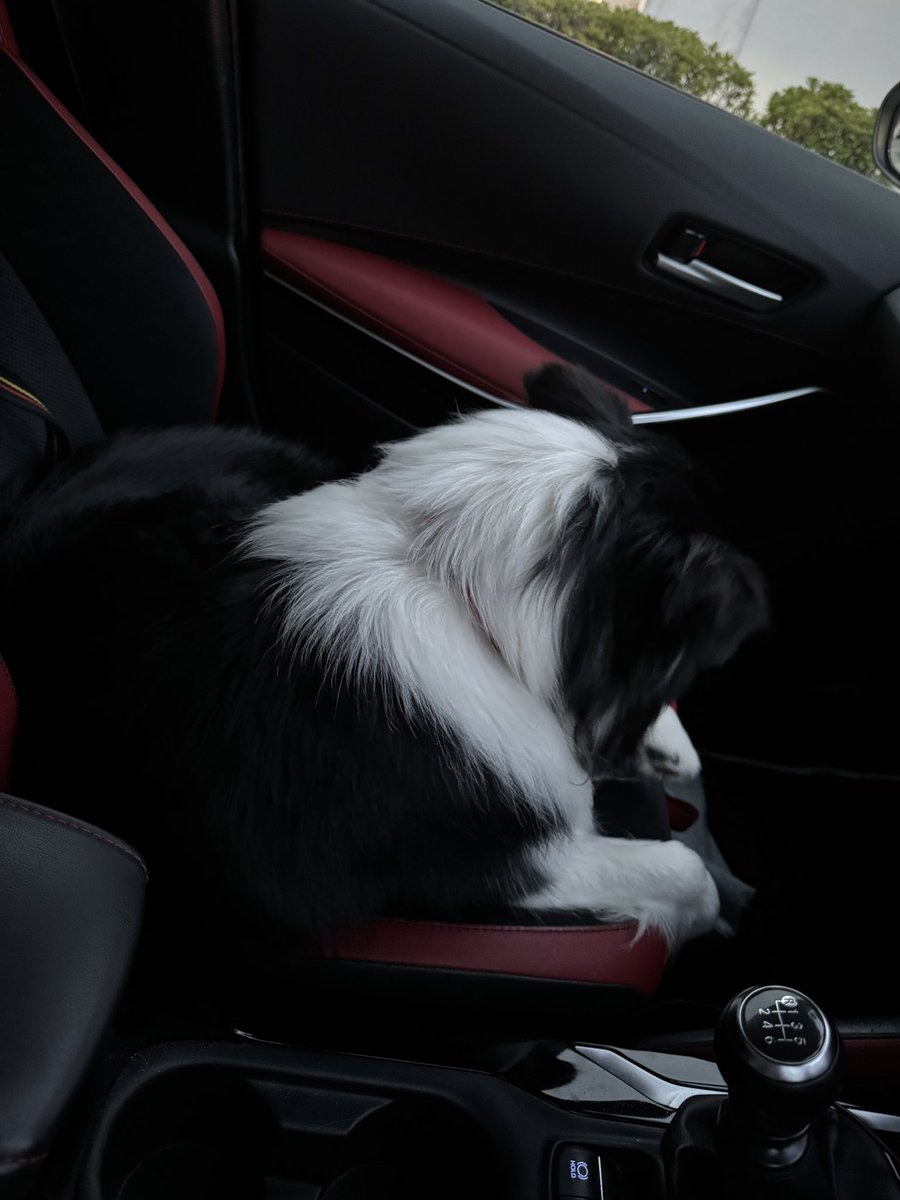 ひ い ら ぎ tweet media