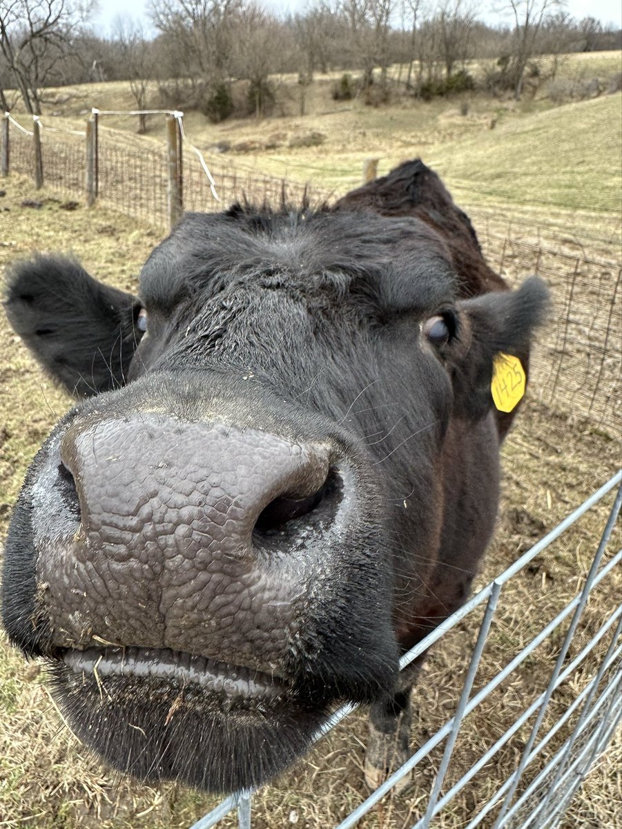 dotcox21's tweet photo. Happy National Ag Day!! https://t.co/p9FYE6gL7f