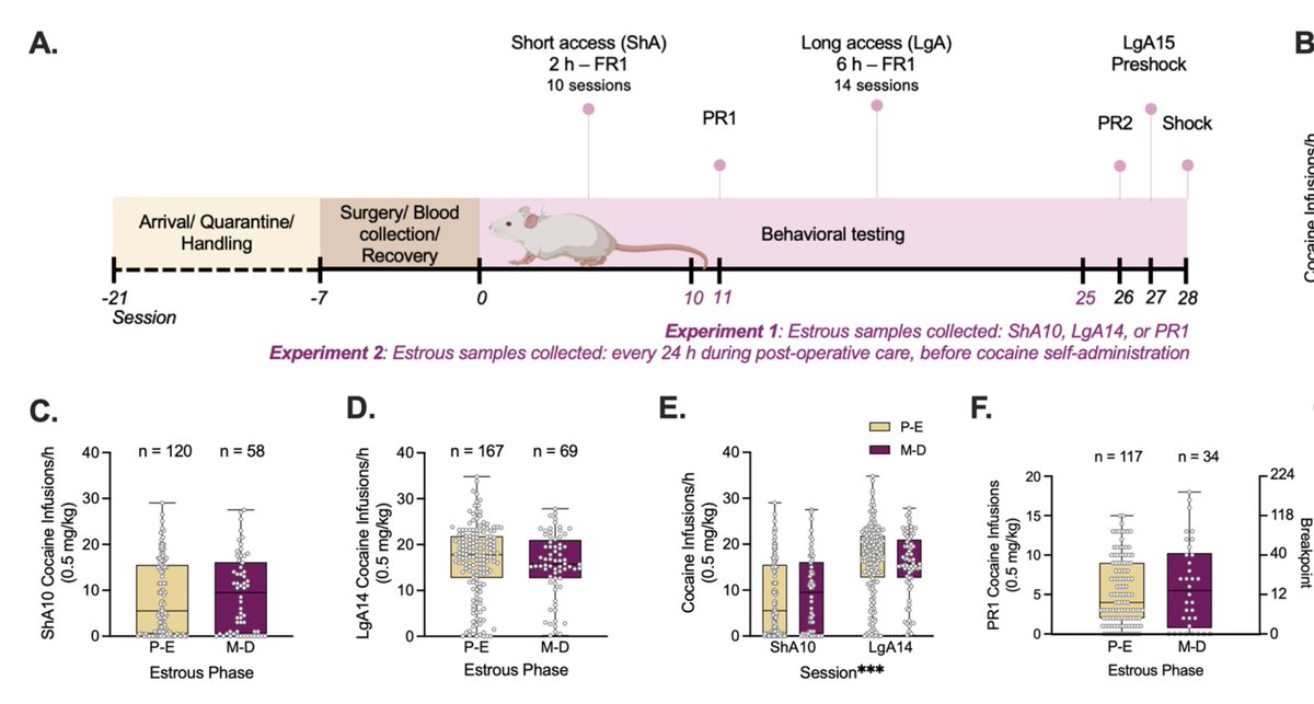 Olivier George tweet media