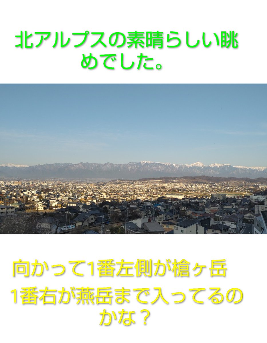 白い鳥 tweet media