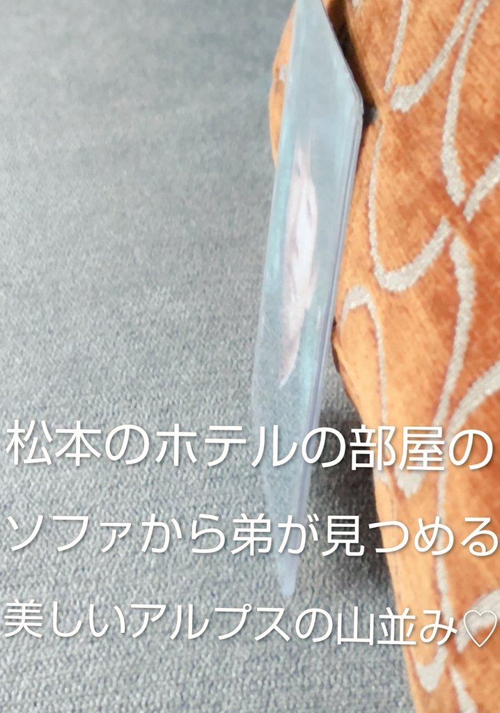 白い鳥 tweet media