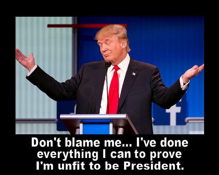 SGRenquist tweet media