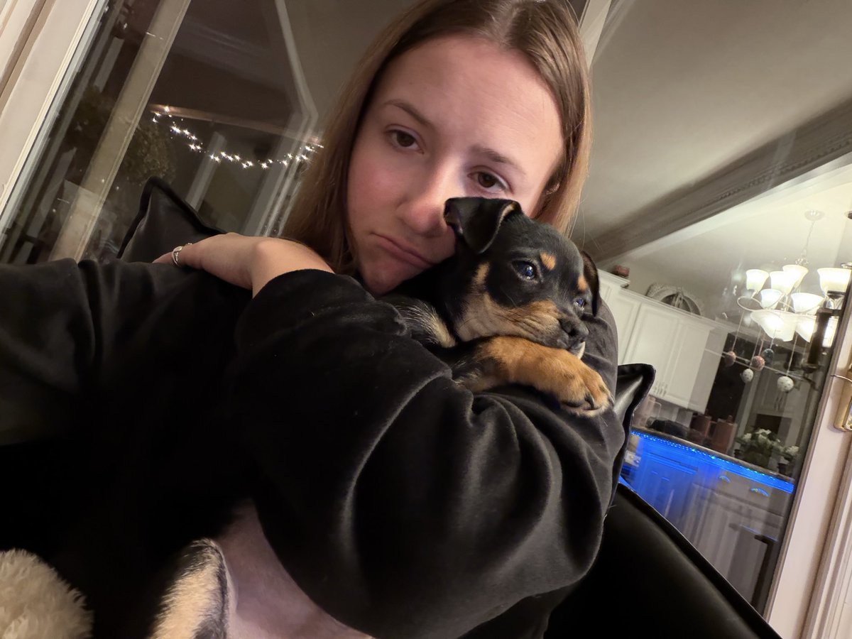 Katt_85's tweet photo. Depressed af but I got a new dog. https://t.co/7w8p07dhQK