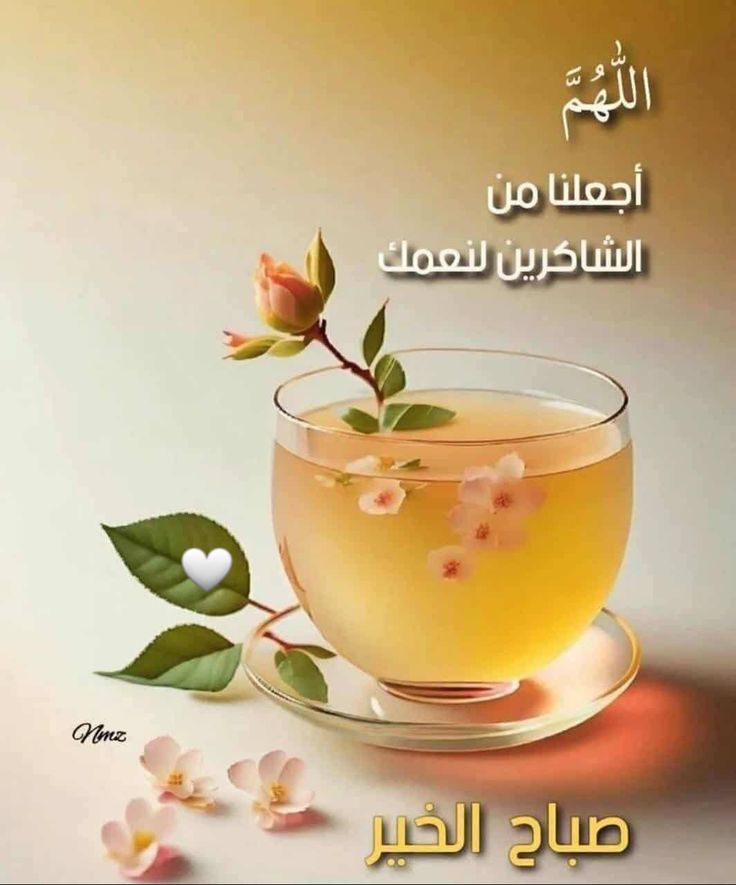 ✨️ YOUSIF ✨️ tweet media