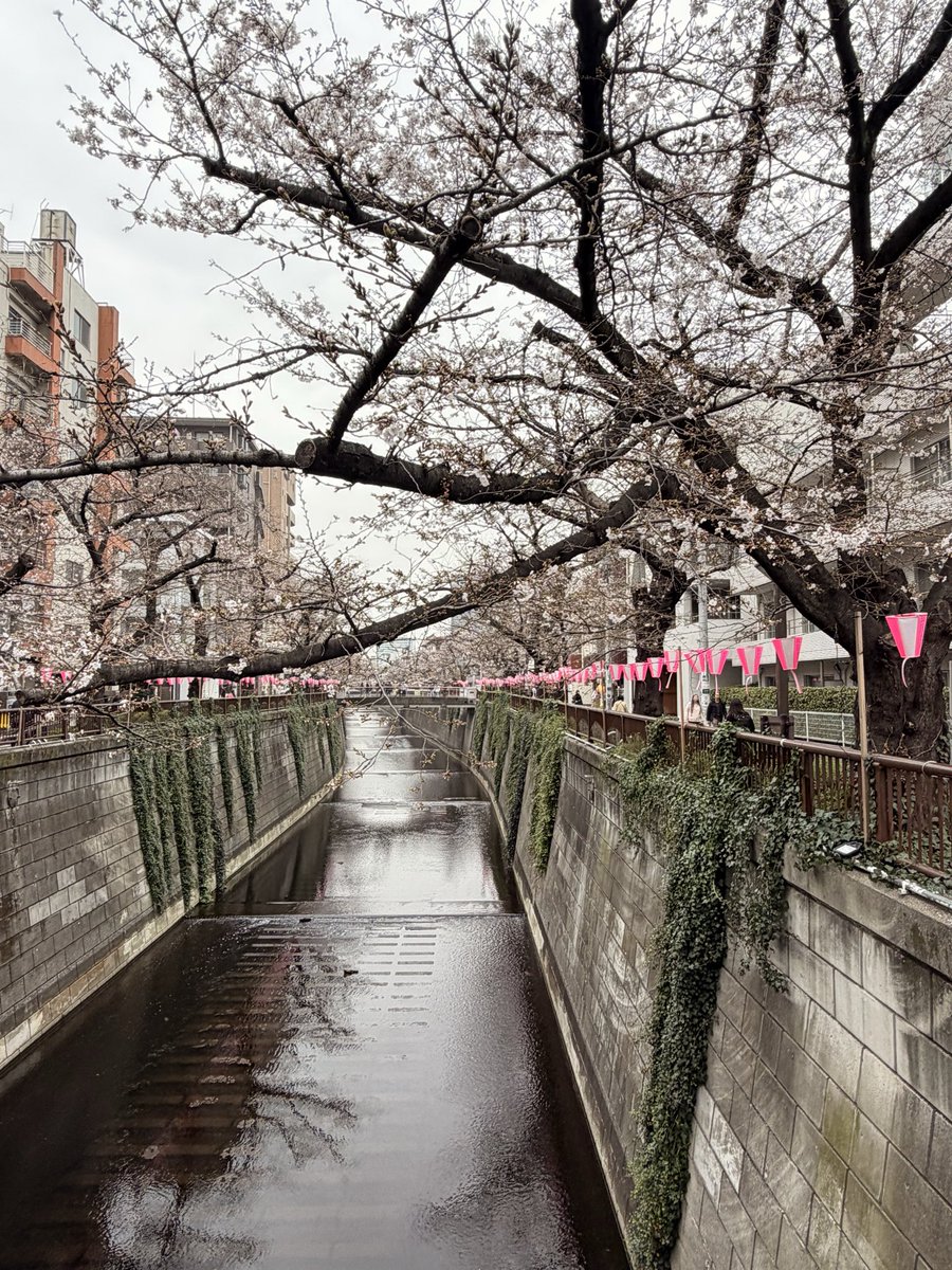 田口陵 tweet media