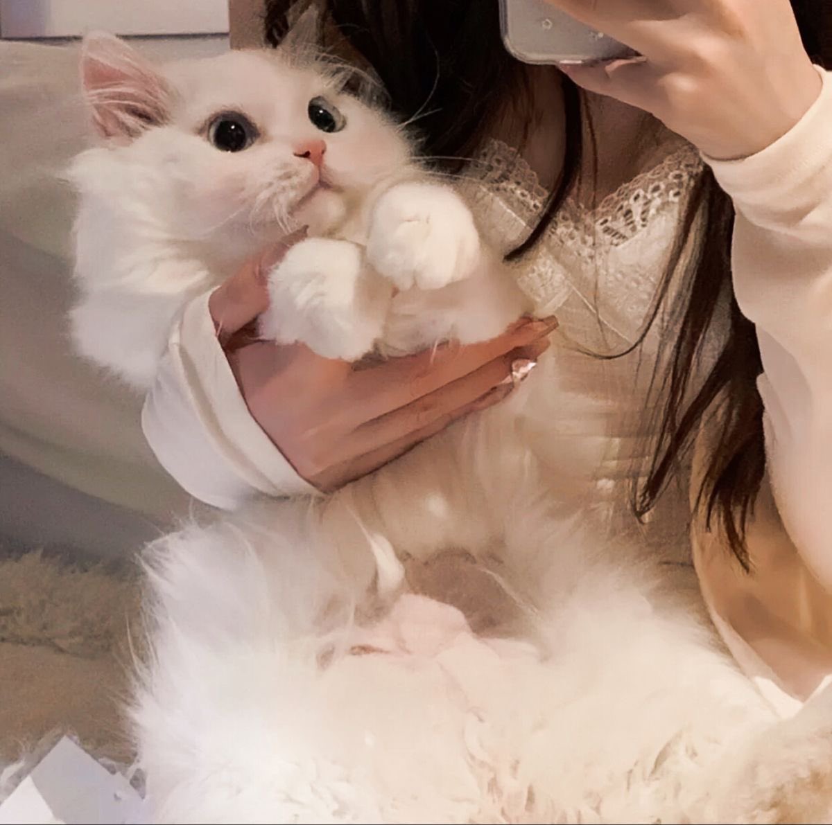 ⎯⎯ キング ͏ tweet media