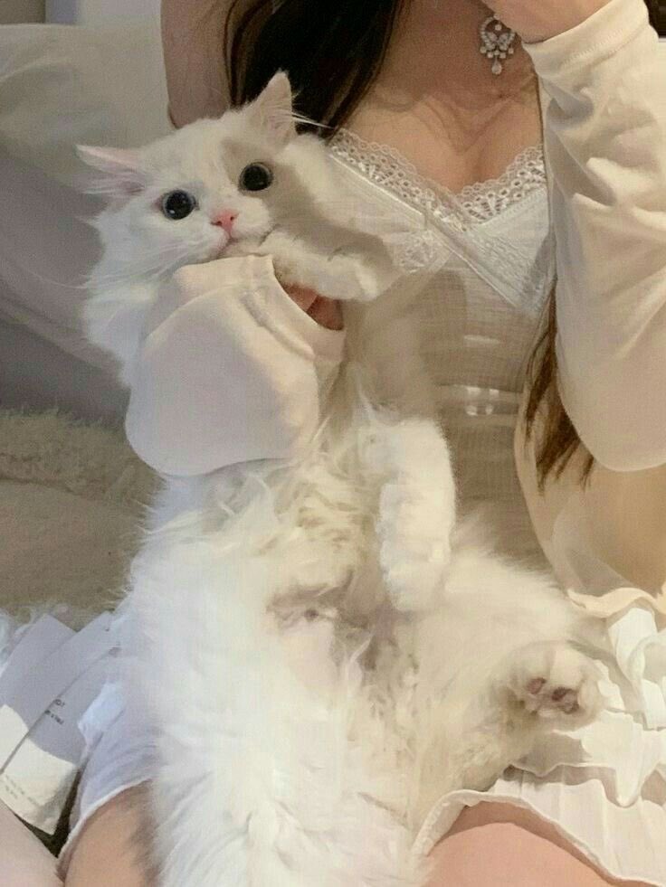 ⎯⎯ キング ͏ tweet media