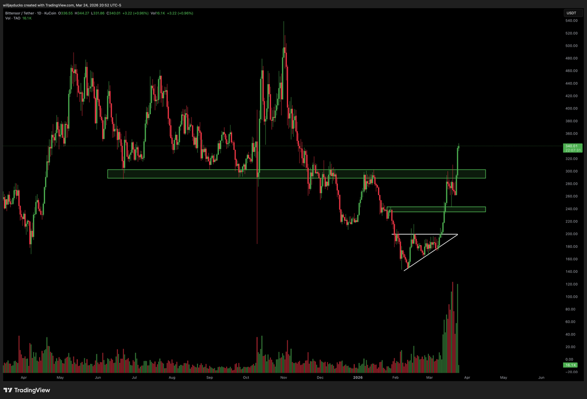 Willjayducks tweet media