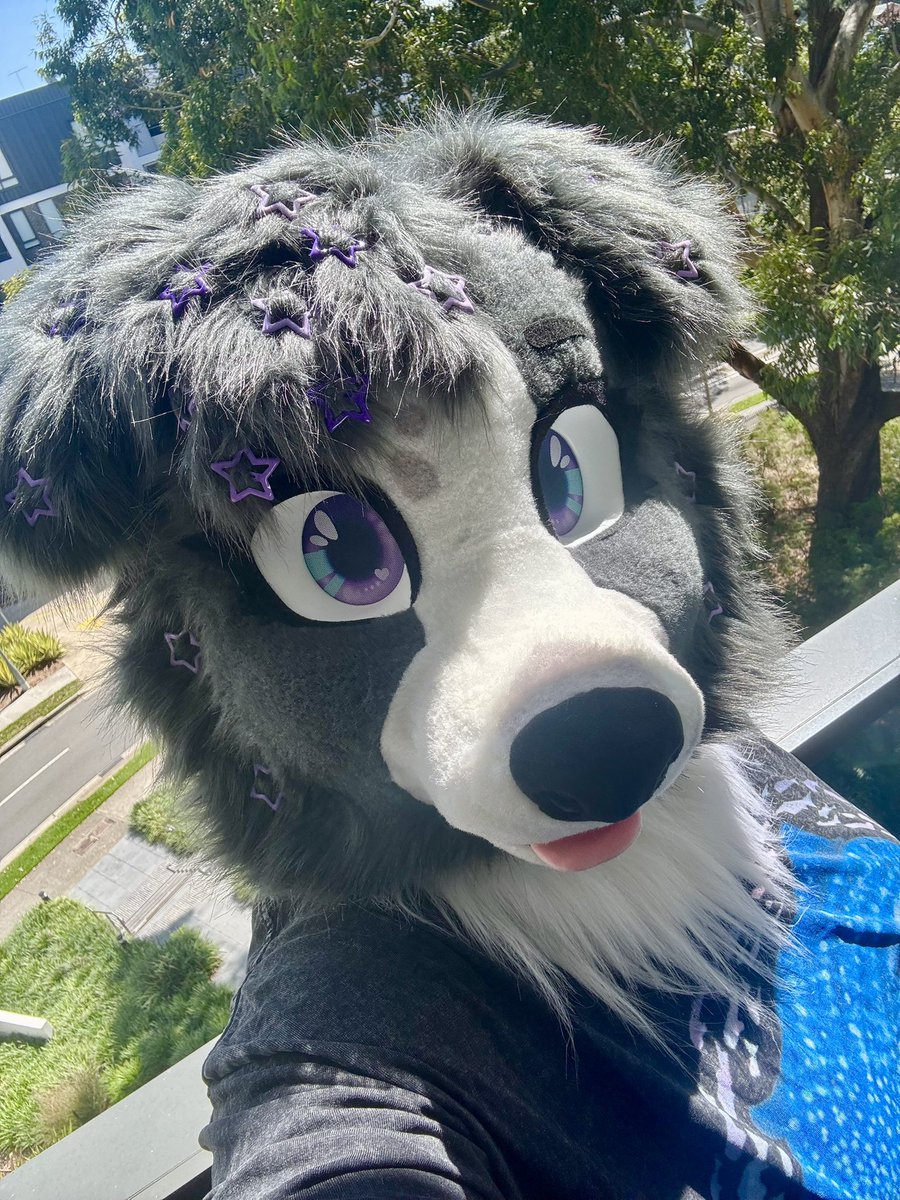 💜 Zee 💜 tweet media