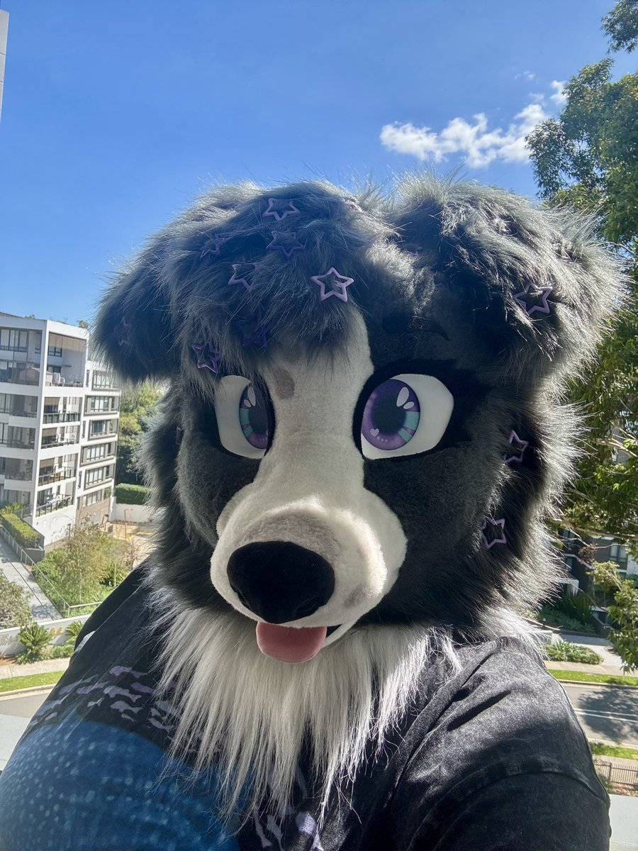 💜 Zee 💜 tweet media