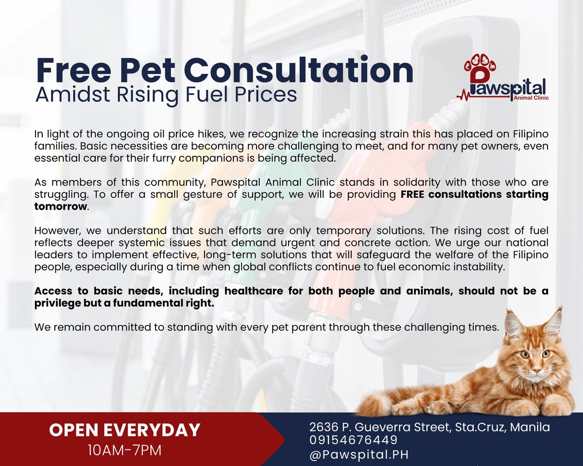 The fragile vet tweet media