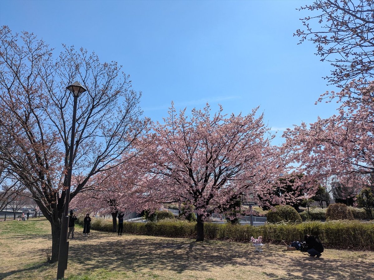 旅先での写真 tweet media