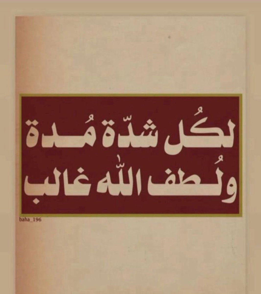 محمد العرافه tweet media