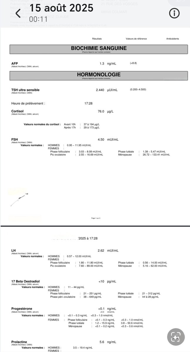 andractim.info tweet media