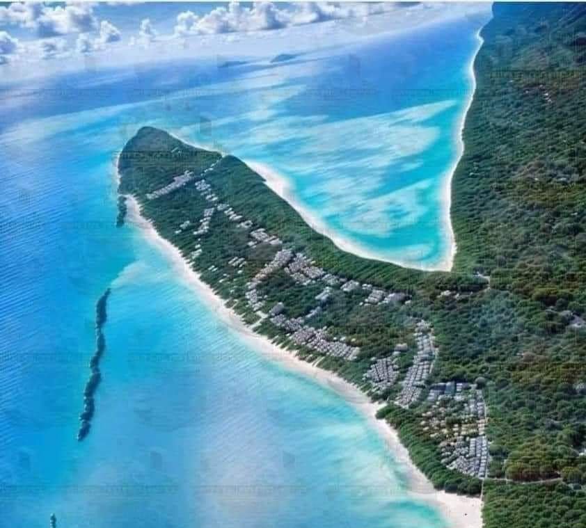 BigChubby6 aka Dr Poon tweet media