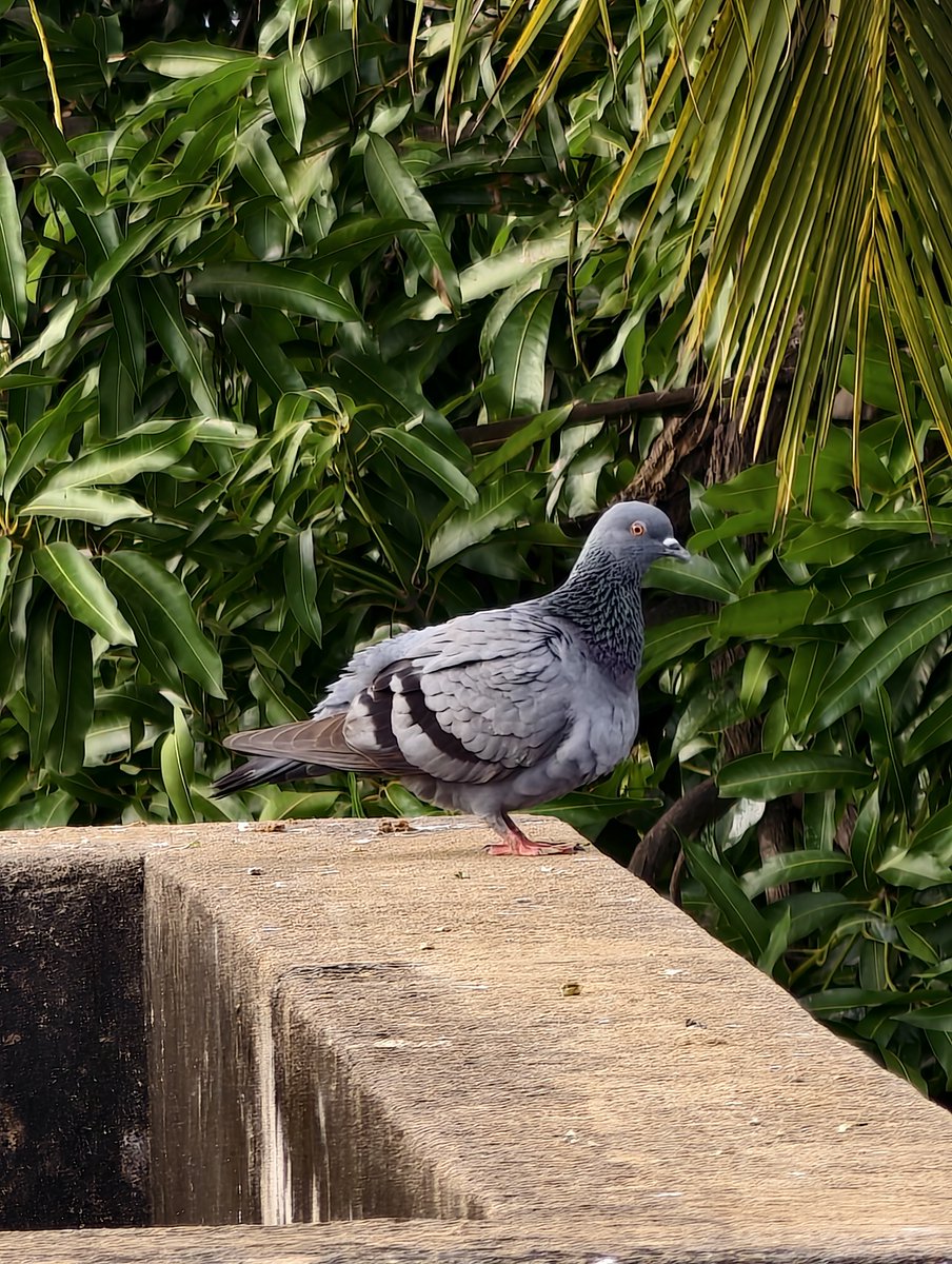 S M A Sithick tweet media