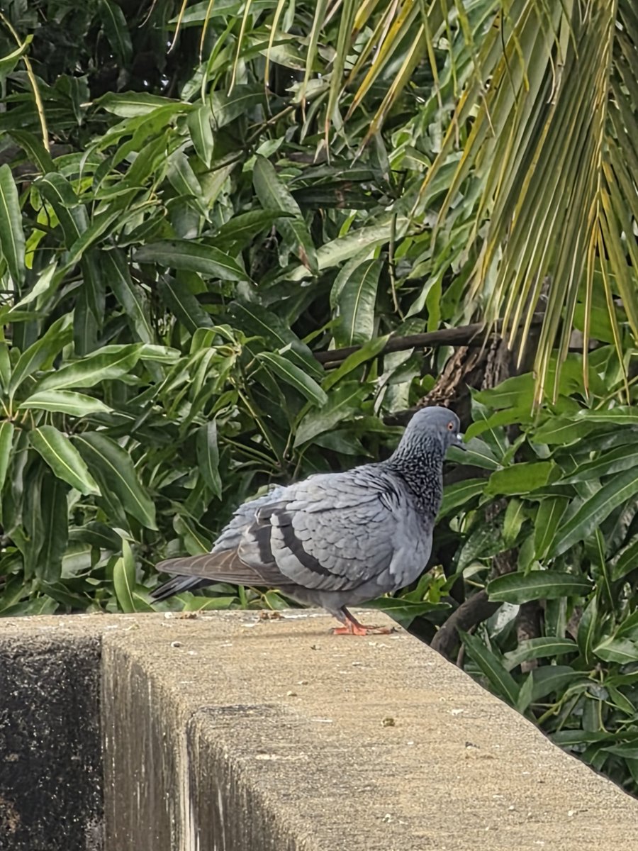 S M A Sithick tweet media